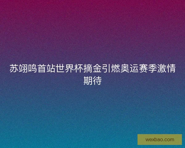 苏翊鸣首站世界杯摘金引燃奥运赛季激情期待