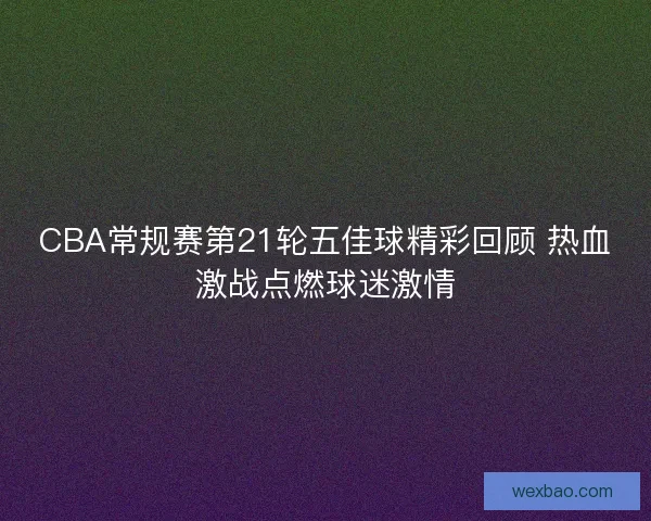 CBA常规赛第21轮五佳球精彩回顾 热血激战点燃球迷激情