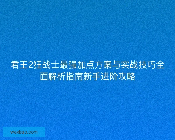 君王2狂战士最强加点方案与实战技巧全面解析指南新手进阶攻略